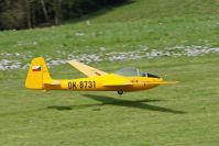 Großseglertreff 2010