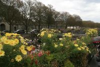 Quimper 2012