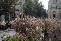 Quimper 2012